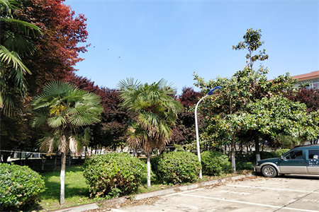 西外莲湖誉府高档小区现房捡漏！房东亏本大甩卖